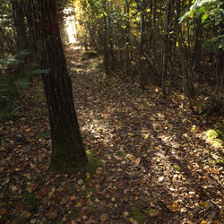 Similar image 8018681