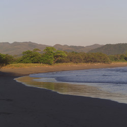 Similar image 8018683