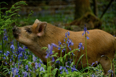 Similar image 8018687