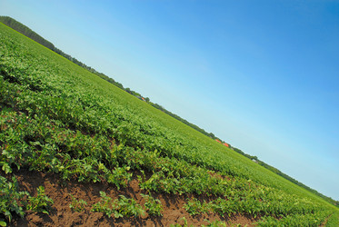 Similar image 8018691