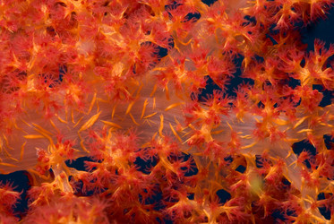 Similar image 8018698