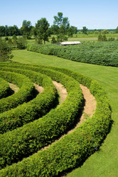 Similar image 8018702