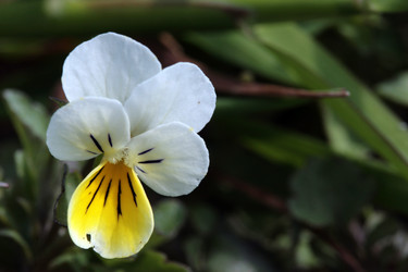 Similar image 8018706