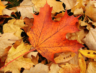 Similar image 8018709