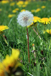 Similar image 8018710