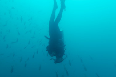 Similar image 8018712