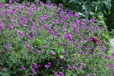 Similar image 8018718