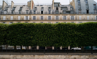 Similar image 8018720