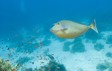 Similar image 8018724