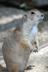 Similar image 8018738