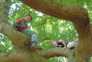 Similar image 8018740