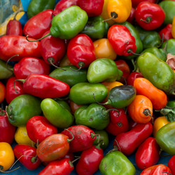 Similar image 8018746