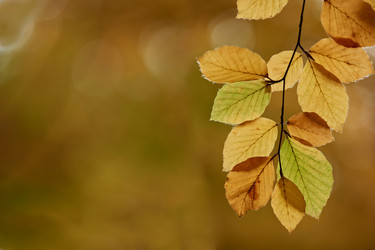 Similar image 8018751