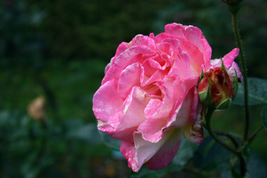 Similar image 8018756