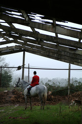 Similar image 8018759