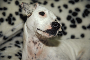 Similar image 8018775