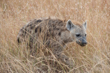 Similar image 8018793