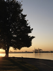 Similar image 8018794