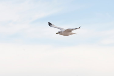 Similar image 8018797