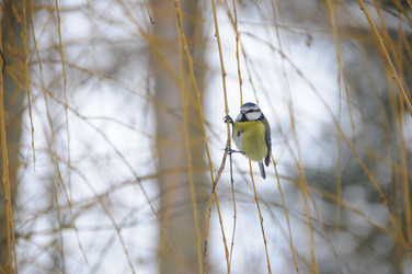 Similar image 8018802