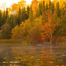 Similar image 8018814