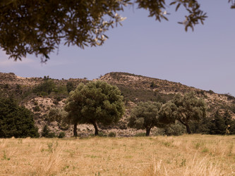 Similar image 8018823