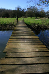 Similar image 8018857