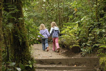 Similar image 8018864