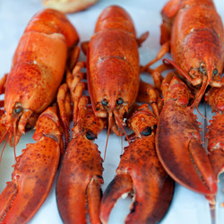 Similar image 8018873