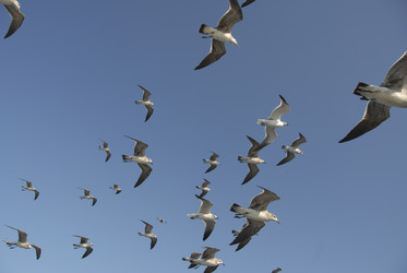 Similar image 8018875