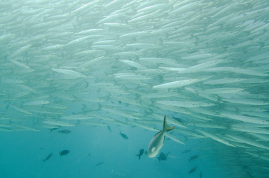 Similar image 8018876