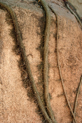 Similar image 8018885