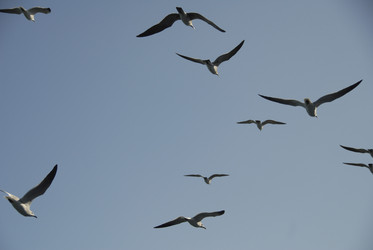 Similar image 8018891