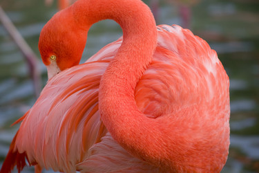 Similar image 8018908