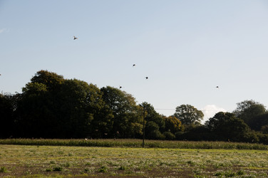 Similar image 8018906