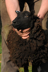 Similar image 8018910