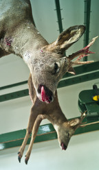 Similar image 8018915