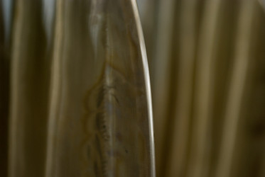 Similar image 8018923