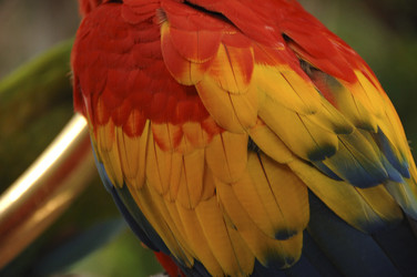 Similar image 8018925