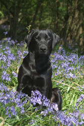 Similar image 8018927