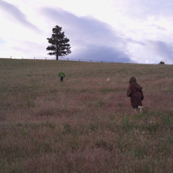 Similar image 8018933