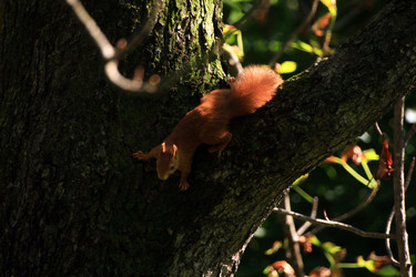 Similar image 8018937