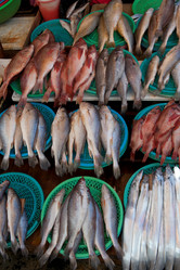 Similar image 8018939