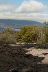 Similar image 8018942