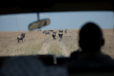 Similar image 8018944