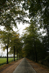 Similar image 8018954