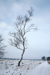 Similar image 8018971