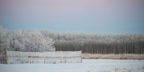 Similar image 8018972