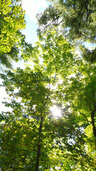 Similar image 8018975