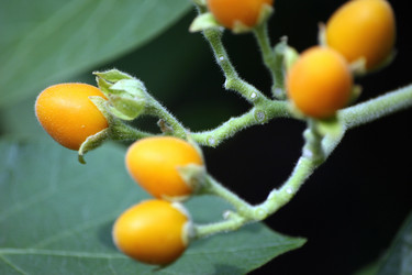 Similar image 8018978